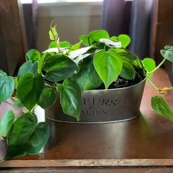 2 Farmhouse Planters💥 - Picture 2 of 7